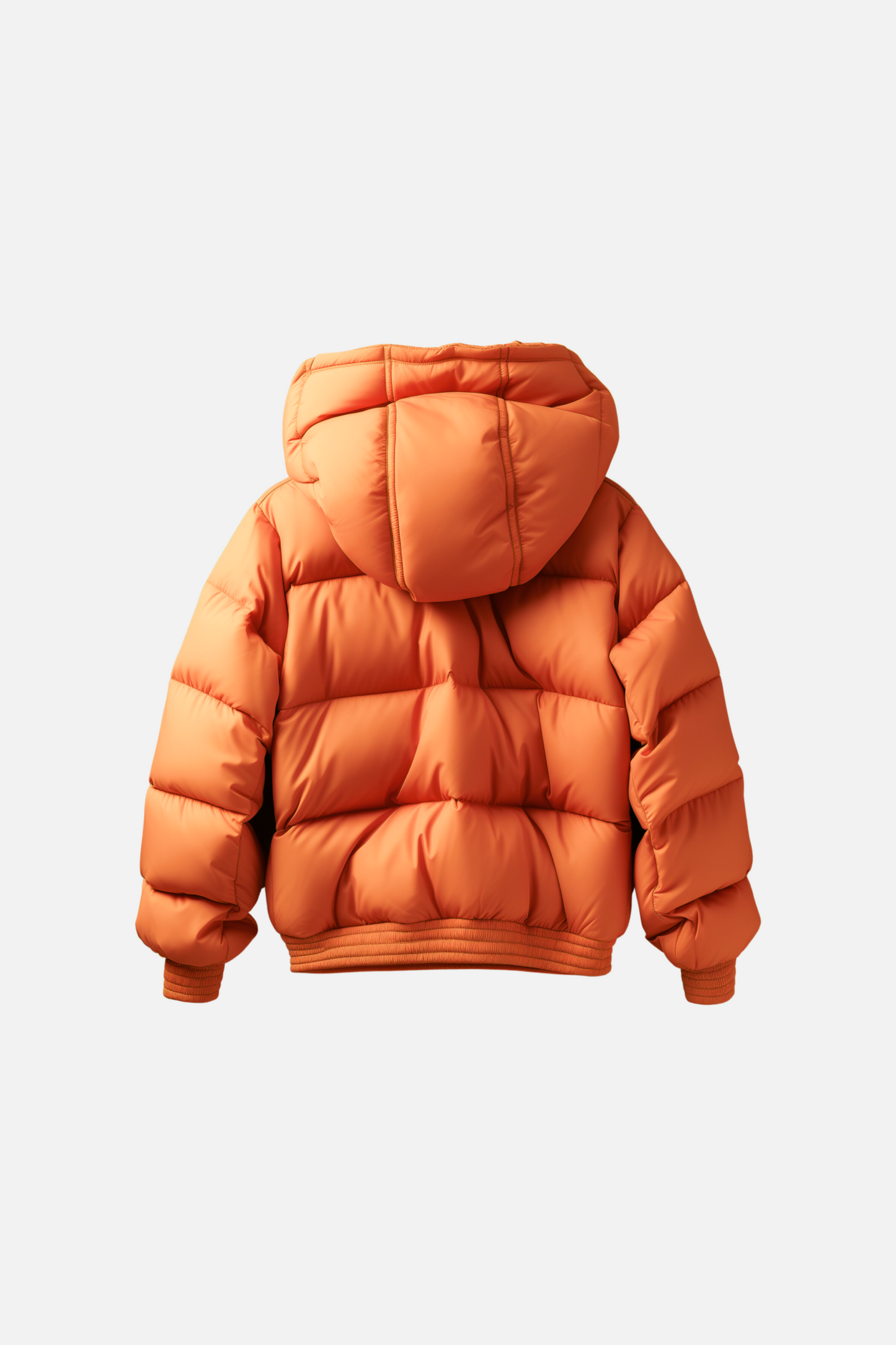 Aurora Borealis Puff Jacket